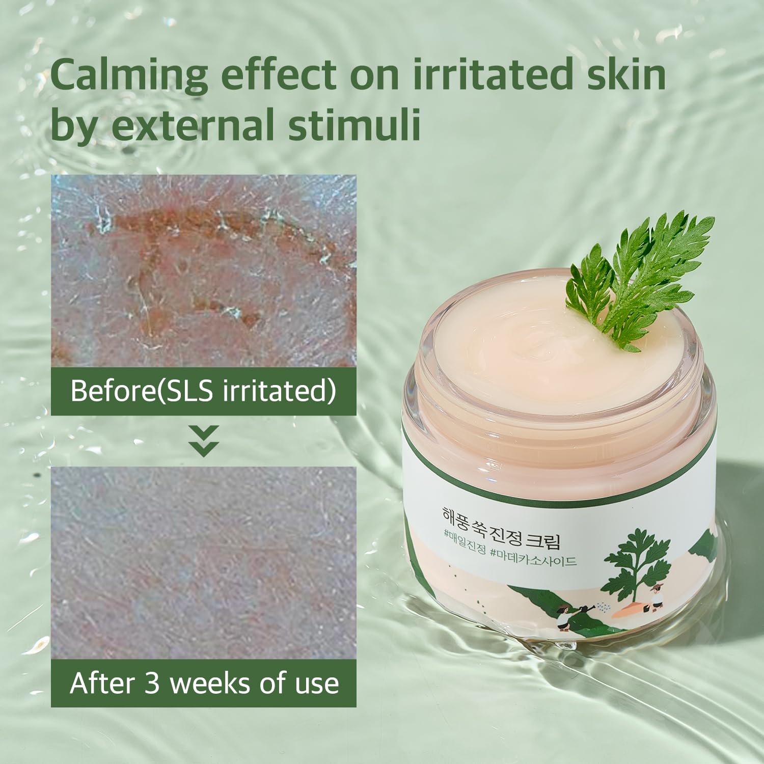 ROUND LAB Mugwort Calming Cream 80ml – Image 4