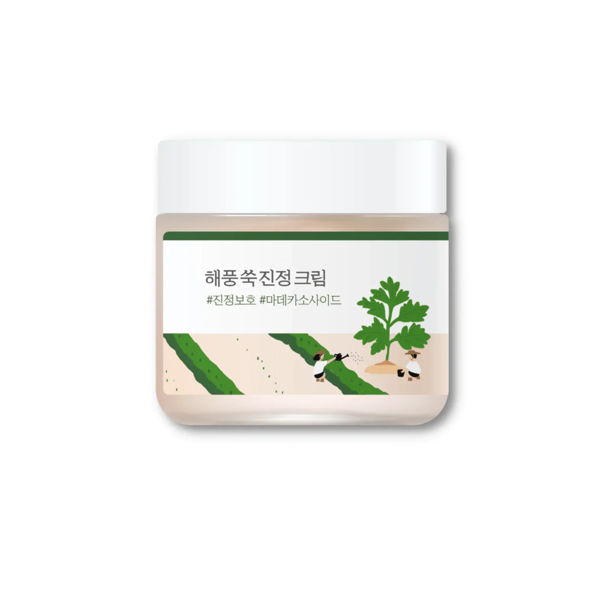 ROUND LAB Mugwort Calming Cream 80ml